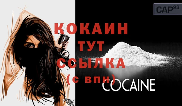 мдпв Няндома