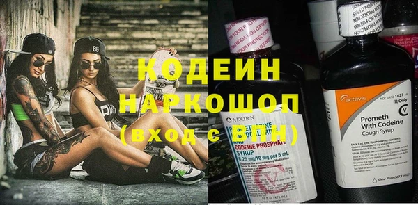 мдпв Няндома