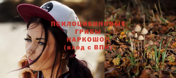 бошки Новокубанск
