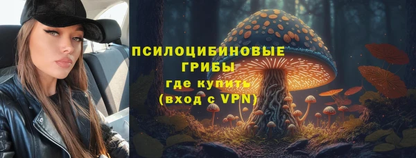 бошки Новокубанск