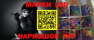 гидропоника Гатчина
