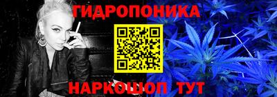 гидропоника Гатчина