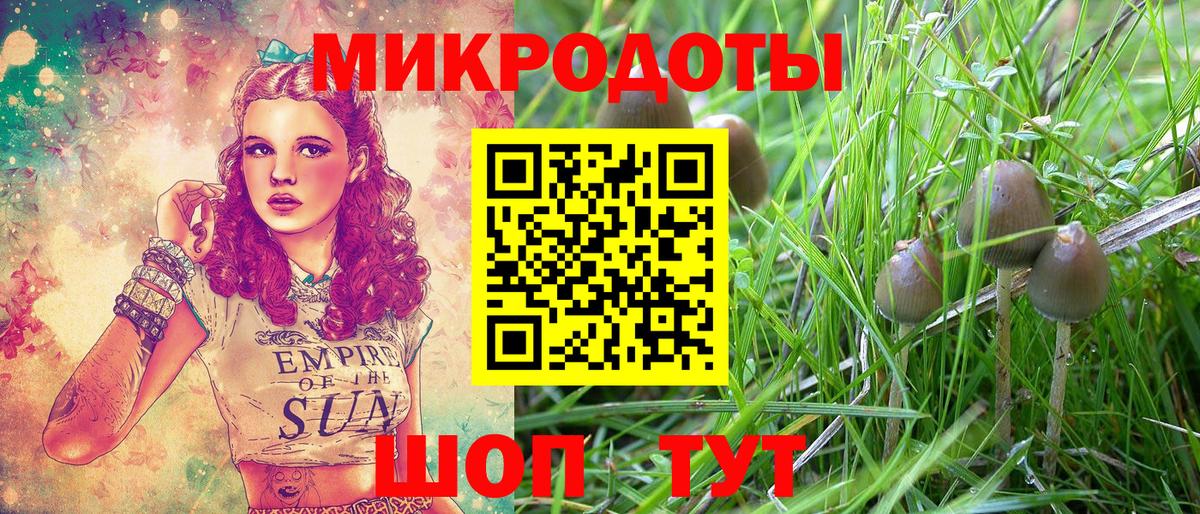 Псилоцибиновые грибы GOLDEN TEACHER  Псилоцибиновые грибы ЛСД  Ирбит  Вход с VPN 